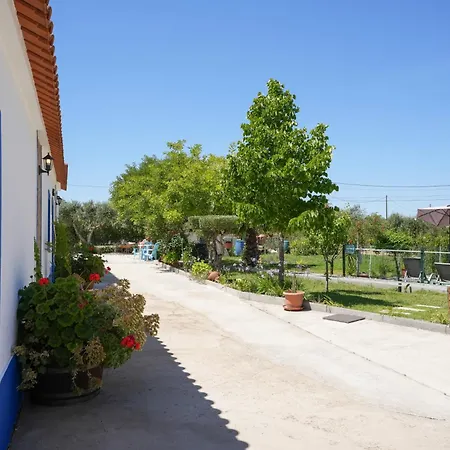 A Janela Das Palmeiras Reguengos de Monsaraz Exterior photo