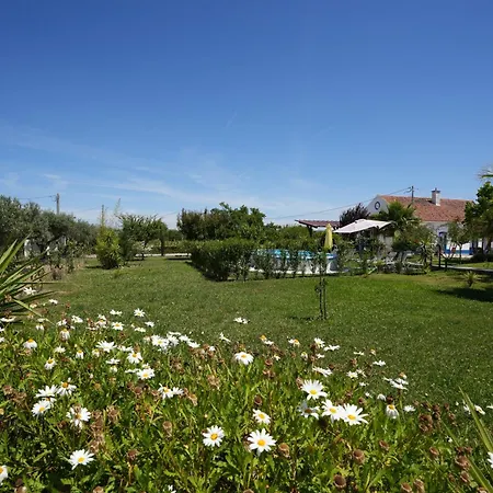 A Janela Das Palmeiras Reguengos de Monsaraz Exterior photo