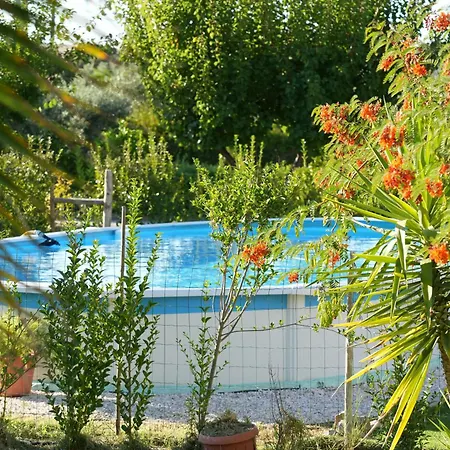 A Janela Das Palmeiras Reguengos de Monsaraz Exterior photo