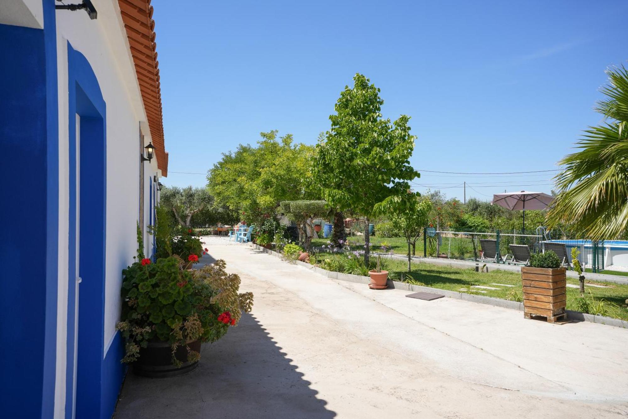 A Janela Palmeiras Country house Reguengos de Monsaraz
