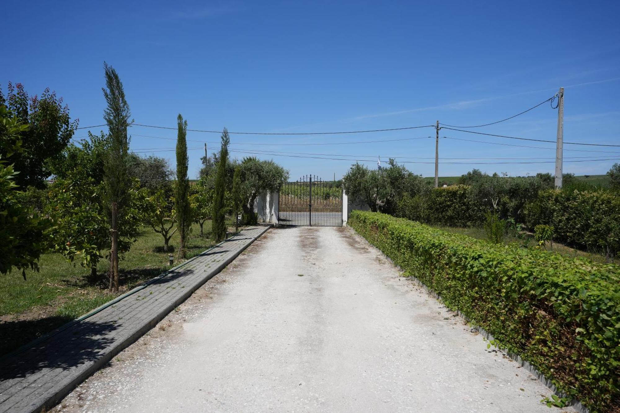 A Janela Palmeiras Country house Reguengos de Monsaraz